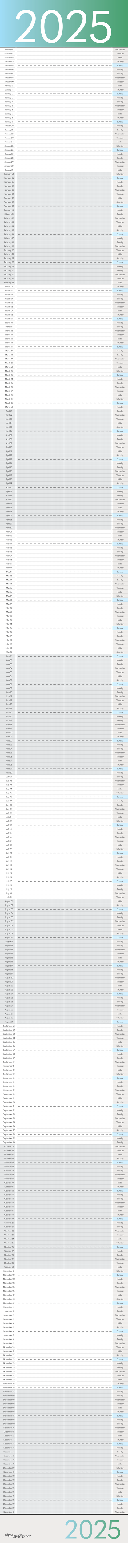 2025 Calendar: 8 x 96in (Daily)